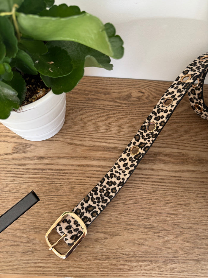 Ceinture Léopard - ROSABAYA